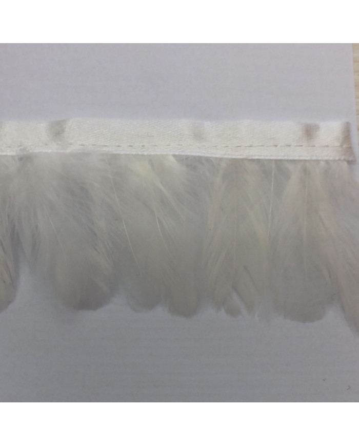 FRANGETTA PIUME GALLO CM 5 COL  1 BIANCO