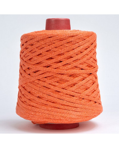 FETTUCCIA SILKE GR 500 - 250 M. COL 51 SALMONE