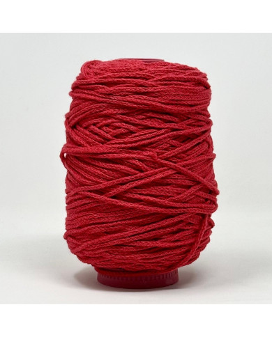 FETTUCCIA LANATA GR 300 COL  55 ROSSO