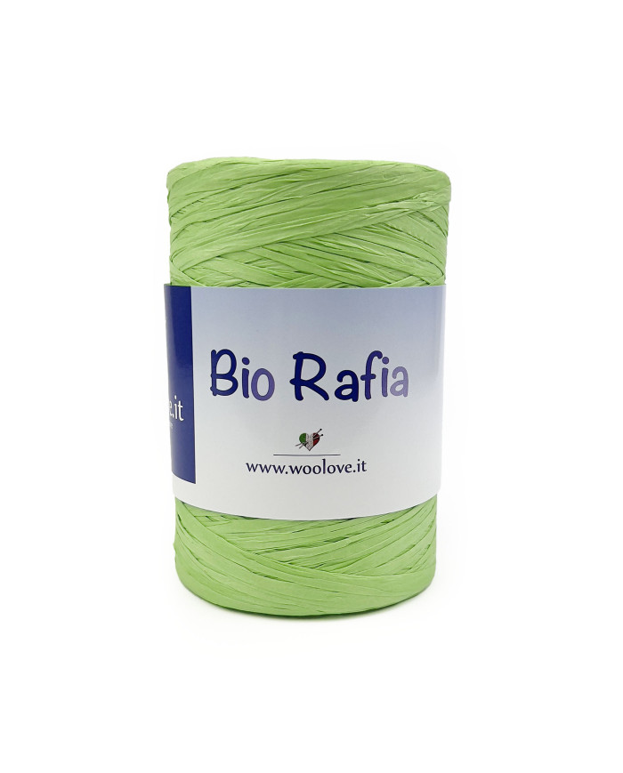 BIO RAFIA G 250 (425 M) COL 31 VERDE ACQUA