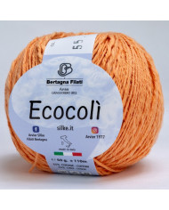 FILATO ECOCOLI BERTAGNA (50 G) 55 ARANCIO