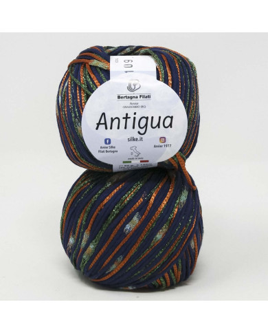 FILATO ANTIGUA BERTAGNA (50 GR) 109