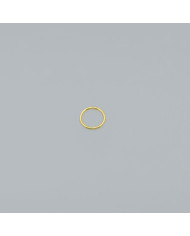 ANELLINI CHIUSI MM 12 (BLISTER 100 PZ) ORO