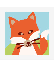 CANEVAS DMC CM 13 X 18 LA VOLPE