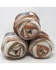 FILATO LANA ELISIR CF (1 GOM X 100 GR) COL 306