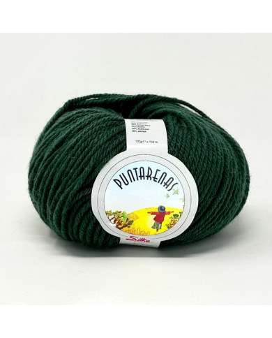 FILATO SILKE PUNTARENAS (100 G.) COL 111 VERDE B.