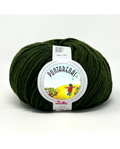 FILATO SILKE PUNTARENAS (100 G.) COL 119 VERDE M