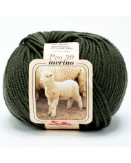 FILATO PURA LANA MERINO PEO SILKE (50G) 119