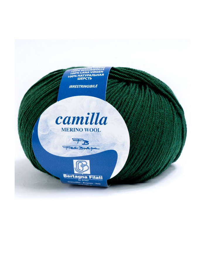 FILATO CAMILLA BERTAGNA FILATI (50 G.) 111 VERDE