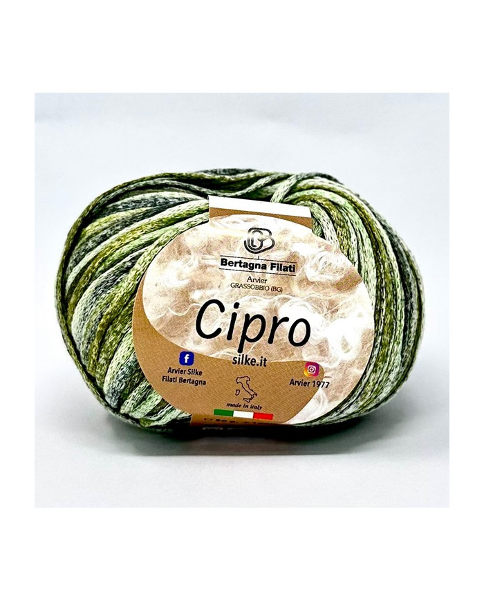 FILATO CIPRO BERTAGNA FILATI COL 4 VERDE