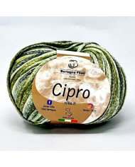 FILATO CIPRO BERTAGNA FILATI COL 4 VERDE