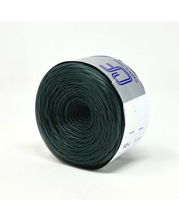 FETTUCCIA ECOPELLE CENTRO FILATI (200G) 124 VERDON