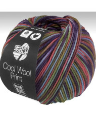 FILATO LANA MERINO COOL WOOL PRINT COL. 838