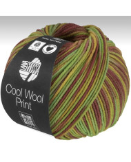 FILATO LANA MERINO COOL WOOL PRINT COL. 839