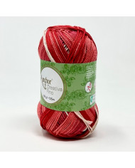 FILATO ANCHOR CREATIVA FINO MULTIC. 50G. 901
