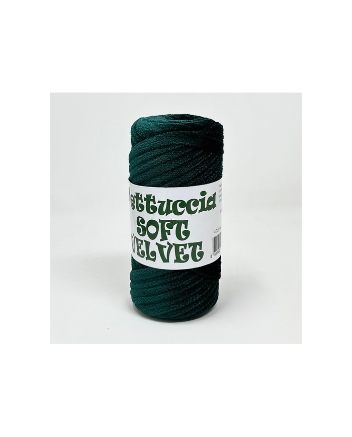 FETTUCCIA SOFT VELVET (200 G) COL 11 BOTTIGLIA