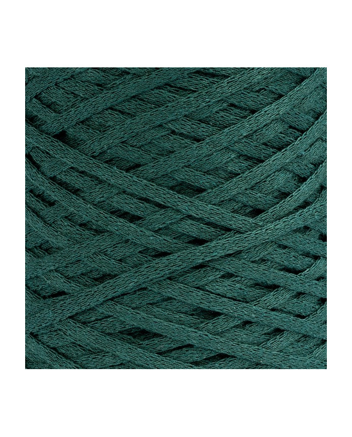 FETTUCCIA SILKE GR 500 - 250 M. COL 101 VERDONE