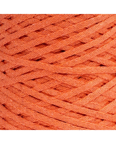 FETTUCCIA SILKE GR 500 - 250 M. COL 51 SALMONE