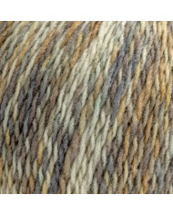 FILATO SILKE PASTEL 2.0 (GOM GR. 150) COL 727