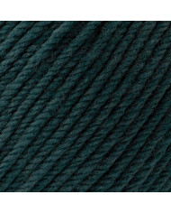 FILATO SILKE PUNTARENAS (100 G.) COL 500 PETROLIO