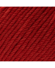 FILATO SILKE PUNTARENAS (100 G.) COL 570 ROSSO