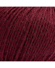 FILATO SILKE PUNTARENAS (100 G.) COL 36 BORDEAUX