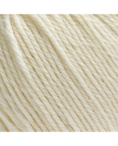 FILATO SILKE PUNTARENAS (100 G.) COL 800 PANNA