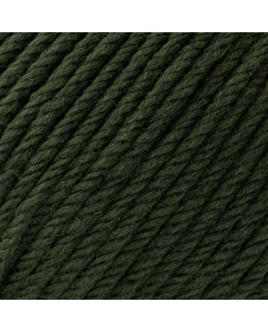 FILATO SILKE PUNTARENAS (100 G.) COL 111 VERDE B.