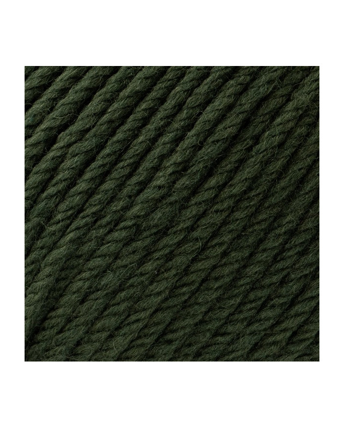 FILATO SILKE PUNTARENAS (100 G.) COL 111 VERDE B.