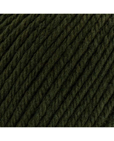 FILATO SILKE PUNTARENAS (100 G.) COL 119 VERDE M