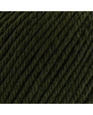 FILATO SILKE PUNTARENAS (100 G.) COL 119 VERDE M