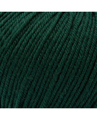 FILATO PURA LANA MERINO PEO SILKE (50G) 111
