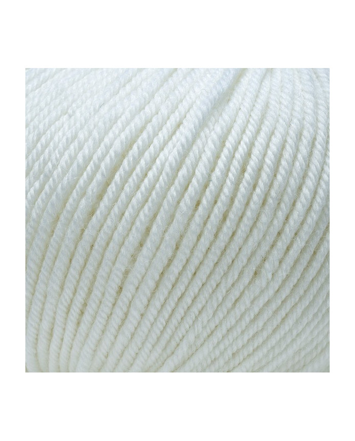 FILATO PURA LANA MERINO PEO SILKE (50G) 100