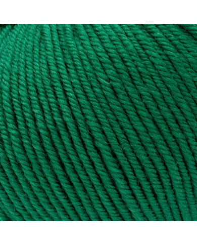 FILATO PURA LANA MERINO PEO SILKE (50G) 243