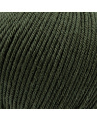 FILATO PURA LANA MERINO PEO SILKE (50G) 119
