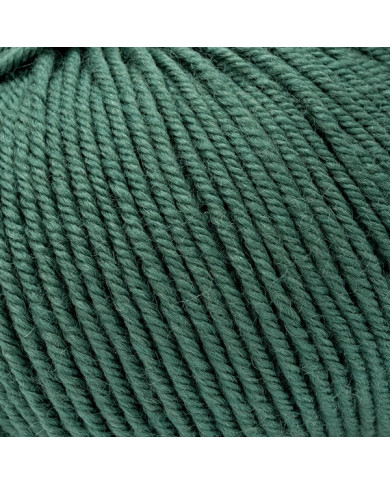 FILATO PURA LANA MERINO PEO SILKE (50G) 9112