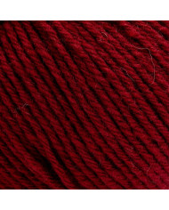 FILATO BERTAGNA ECOCASHMERE (GOM X 25 G.) 035