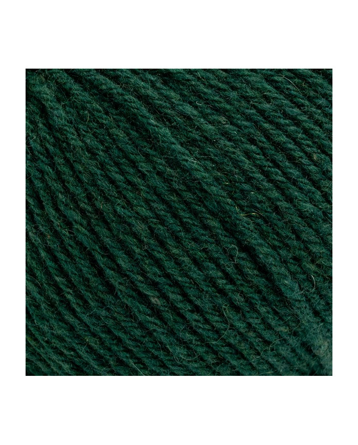 FILATO BERTAGNA ECOCASHMERE (GOM X 25 G.) 340