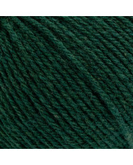 FILATO BERTAGNA ECOCASHMERE (GOM X 25 G.) 340