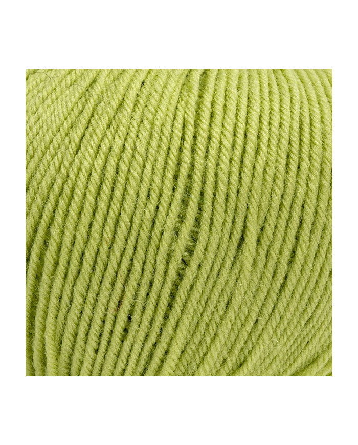 FILATO CAMILLA BERTAGNA FILATI (50 G.) 135 VERDINO