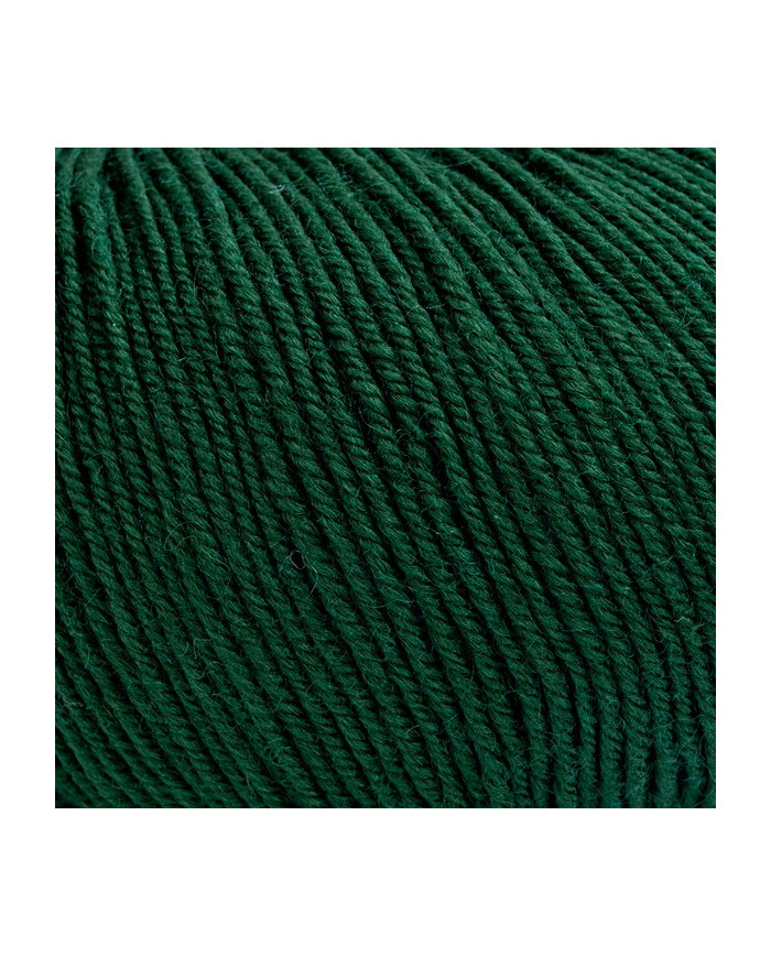FILATO CAMILLA BERTAGNA FILATI (50 G.) 111 VERDE