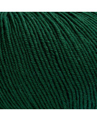 FILATO CAMILLA BERTAGNA FILATI (50 G.) 111 VERDE