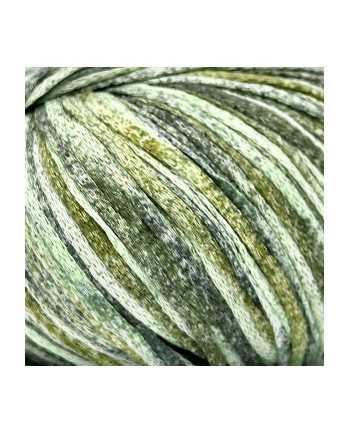 FILATO CIPRO BERTAGNA FILATI COL 4 VERDE