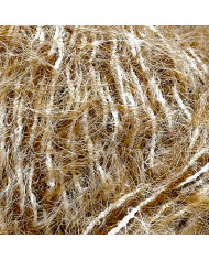 FILATO CENTRO FILATI (GOM X 50 GR) COL 31 BEIGE