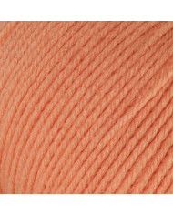 FILATO SILKE WITICO (GOM X 50 G.) COL 53