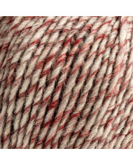 FILATO GRINTA BERTAGNA FILATI COL 110 BORDEAUX ML.