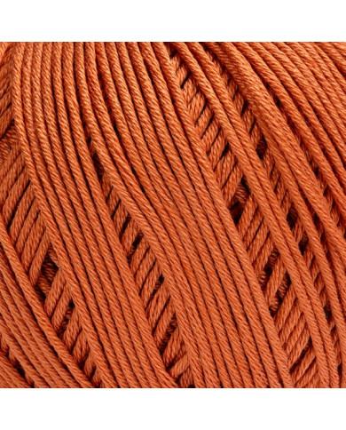 FILATO SILKE (1 GOM GR. 50 M.127) COL 12 CANNELLA