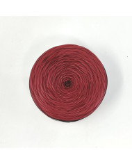 FETTUCCIA ECOPELLE CENTRO FILATI (200G) 127 ROSSO