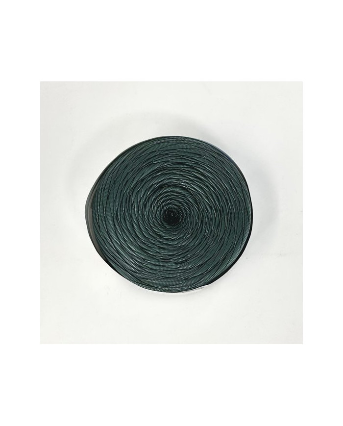 FETTUCCIA ECOPELLE CENTRO FILATI (200G) 124 VERDON