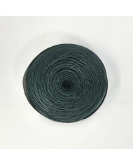 FETTUCCIA ECOPELLE CENTRO FILATI (200G) 124 VERDON